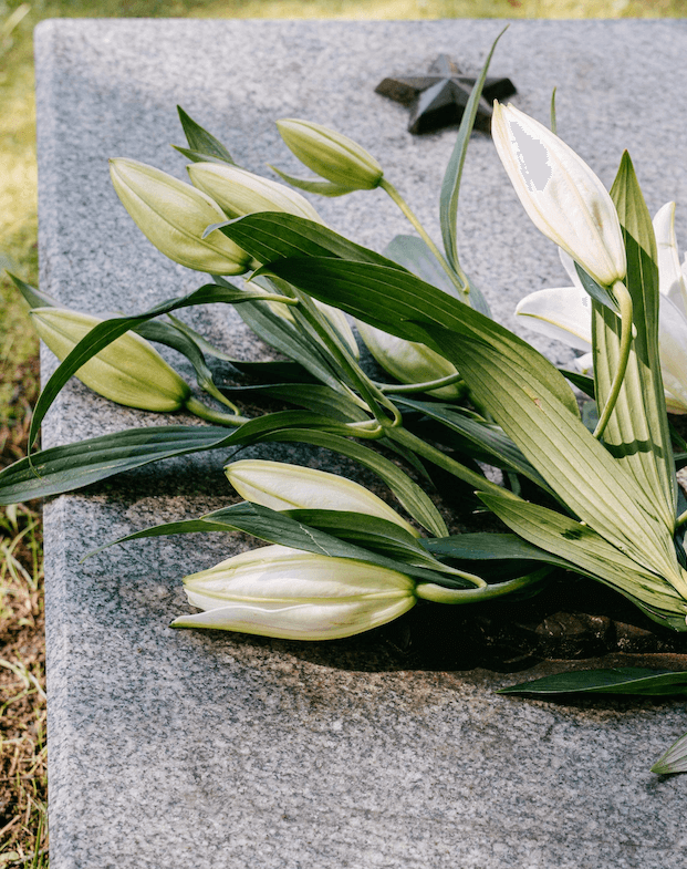 Hommage à Max CLERIL