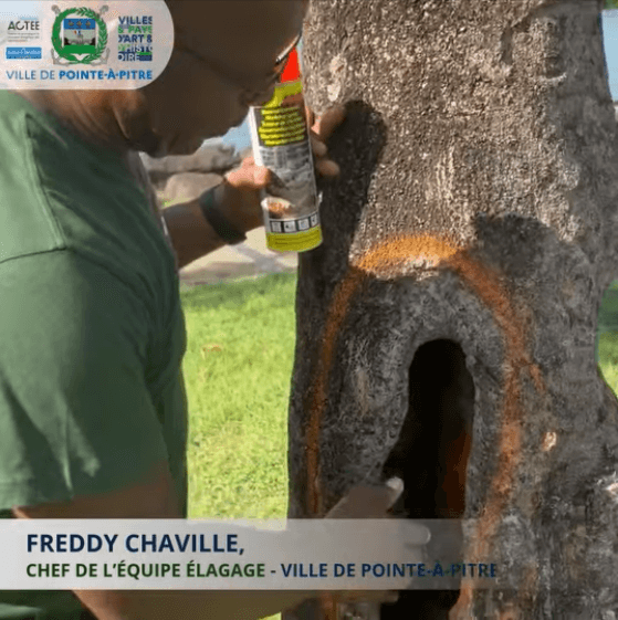 Diagnostic sanitaire et campagne d'abattage sur le Parcours Marlène CANGUIO